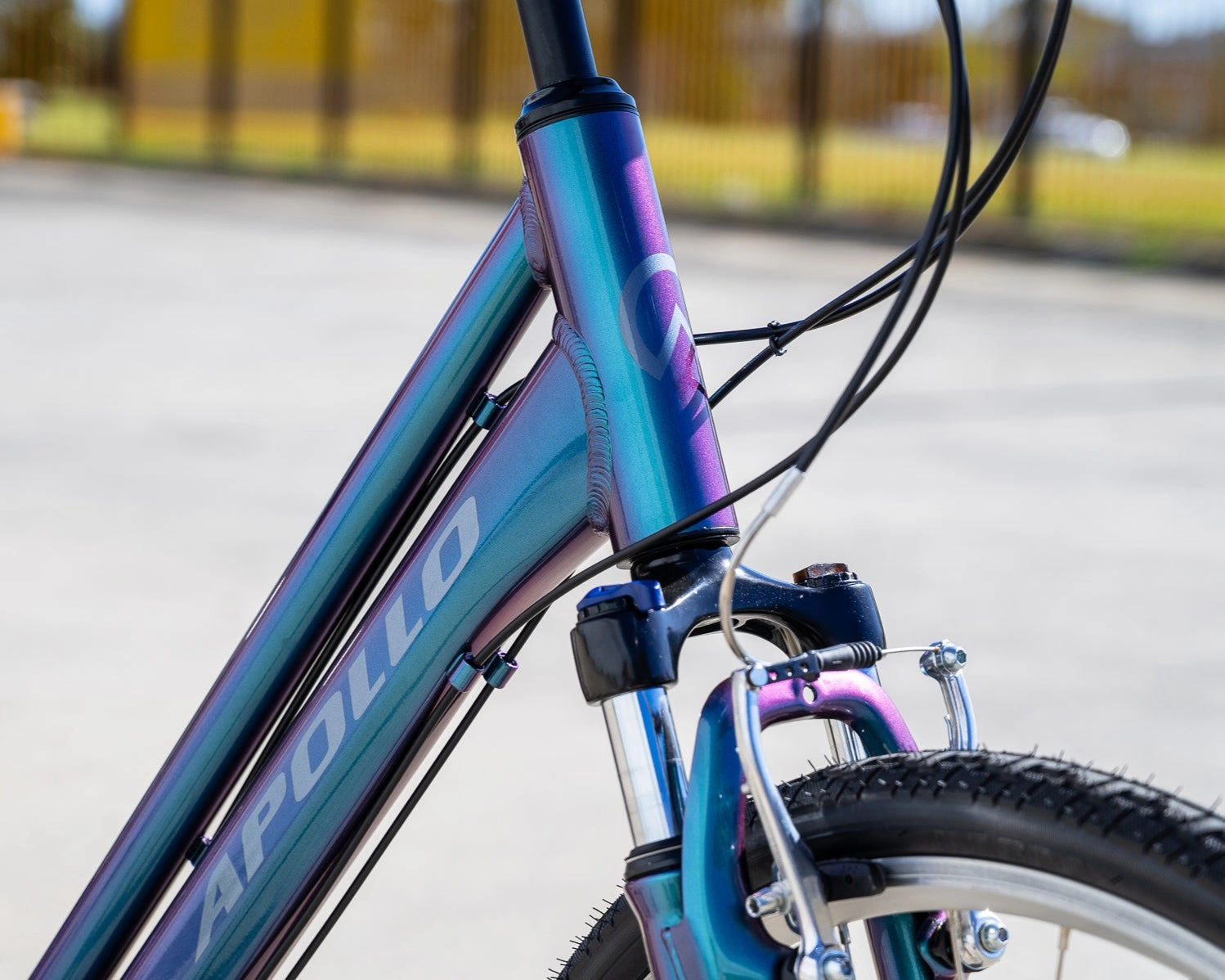 Apollo Altura WS