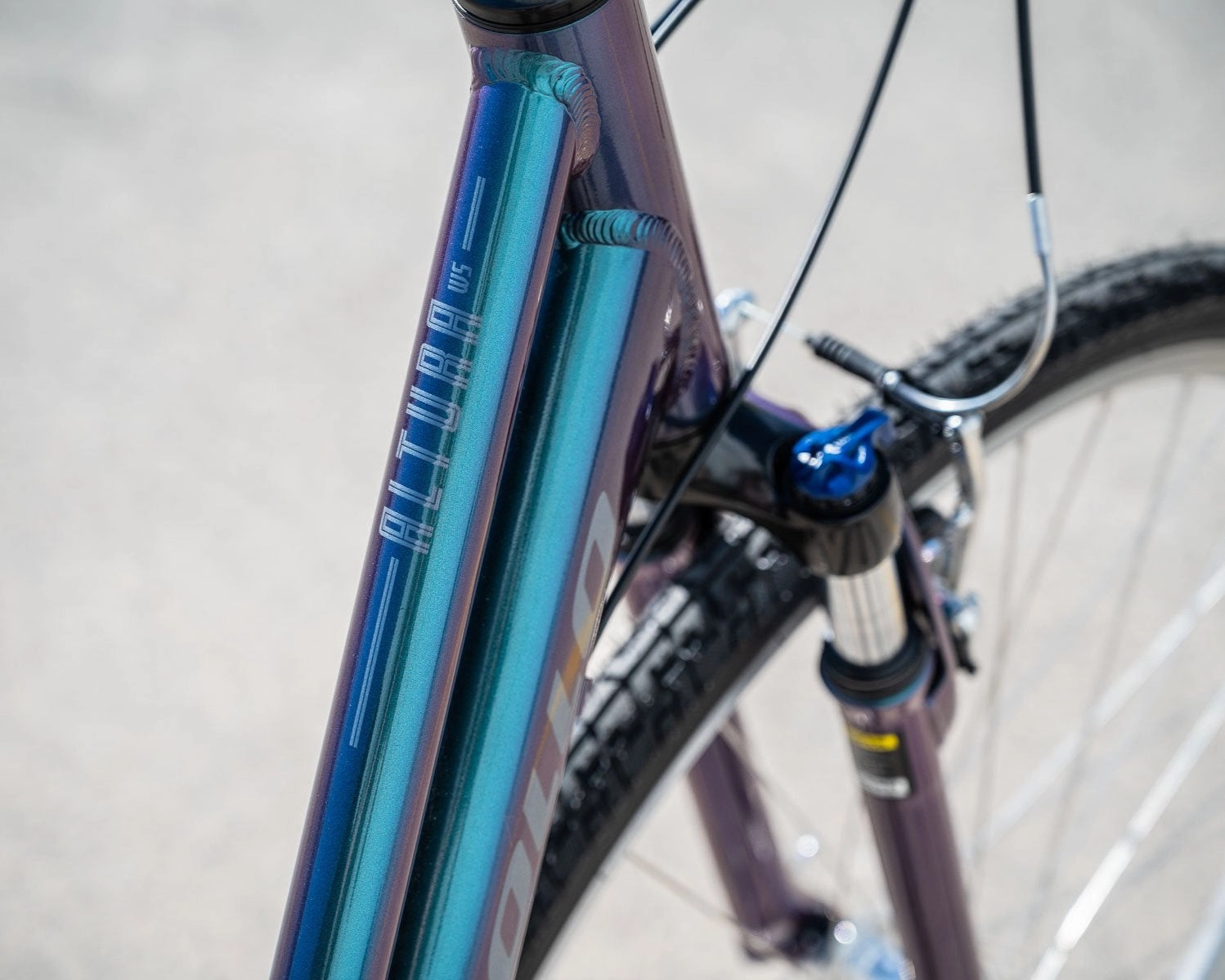 Apollo Altura WS
