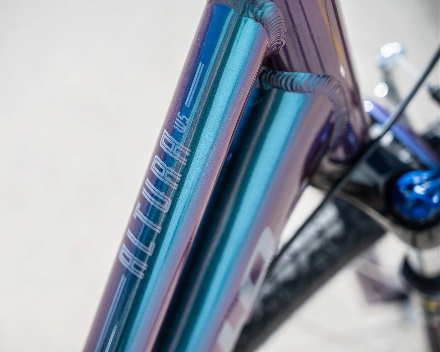 Apollo Altura WS