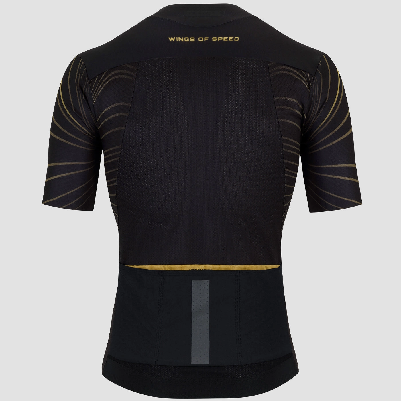 Assos Equipe RS Targa Wings jersey - Black gold