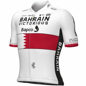Bahrain Victorious 2023 jersey - Bahrain champion