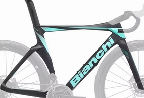 Bianchi Oltre Pro Disc Frameset 2024