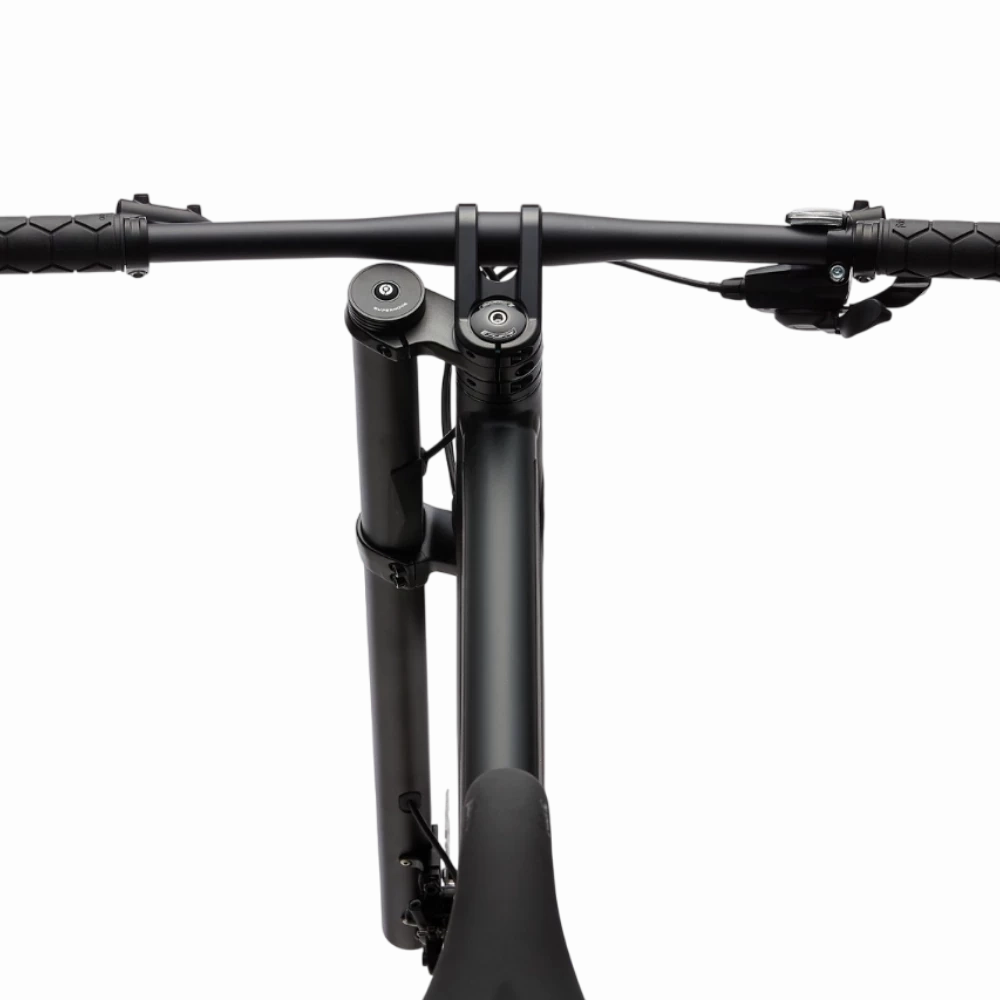 Cannondale Bad Boy 1