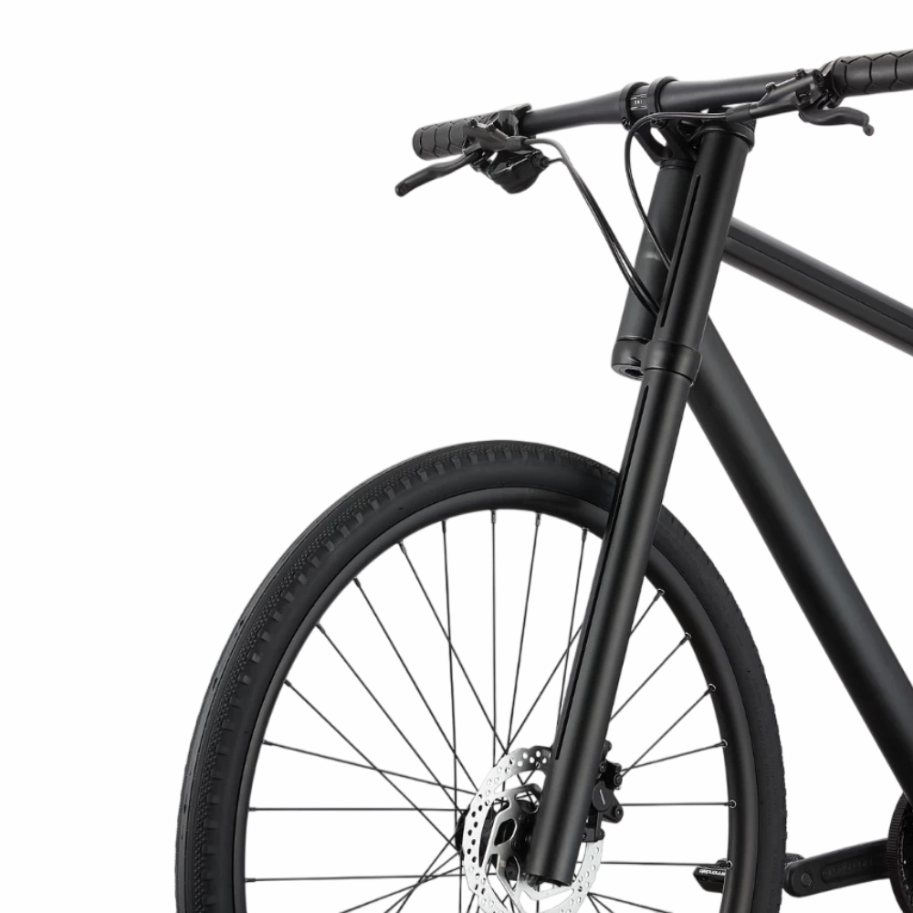 Cannondale Bad Boy 1
