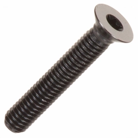 Carbon-Ti X-Cap TORX replacement screw - Black