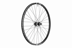 DT Swiss F1900 Classic Rear Wheel - 29", 12 x 148mm, 6-Bolt, XD, Ratchet LN 18, Black