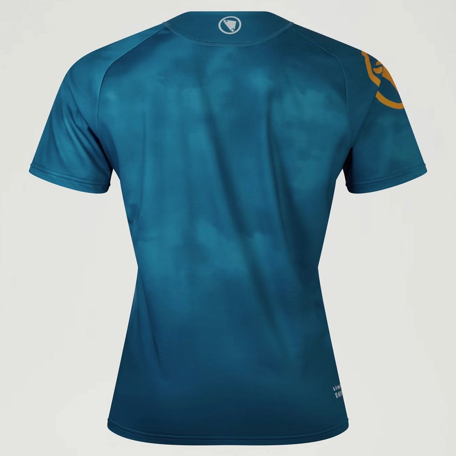 Endura Cloud LTD jersey - Blue