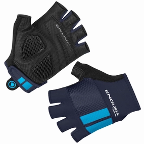 Endura FS260 Pro Aerogel Mitt - Blue