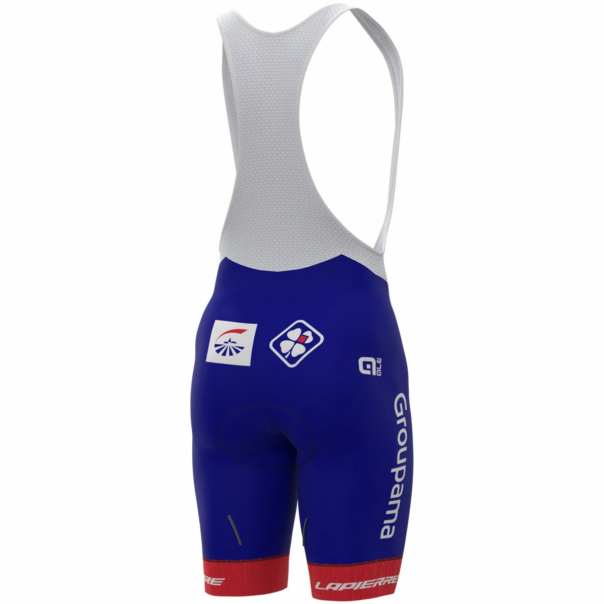 Groupama FDJ 2022 bib shorts