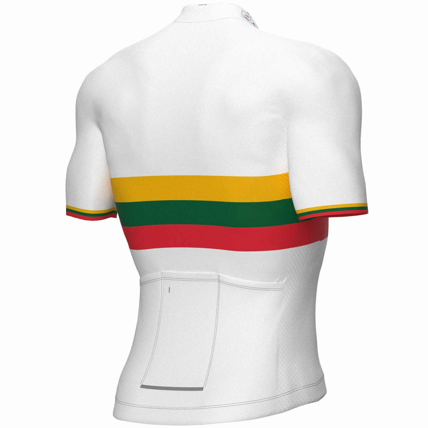 Groupama Fdj 2022 jersey - Lituanian champion