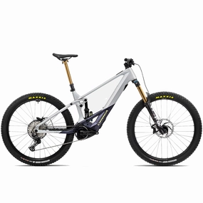 Orbea WILD M10 Custom - Silver