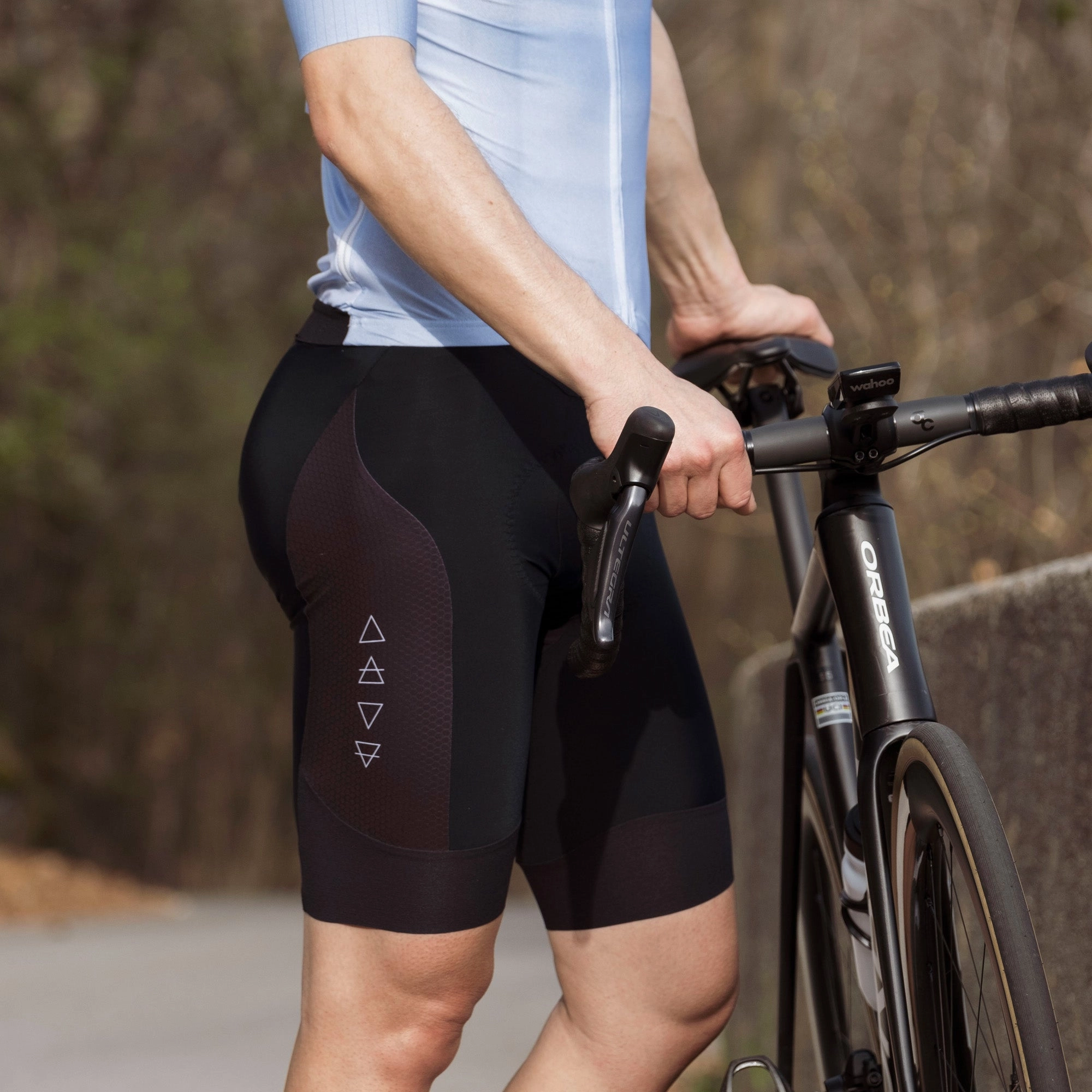 Q36.5 Elements Bib Shorts