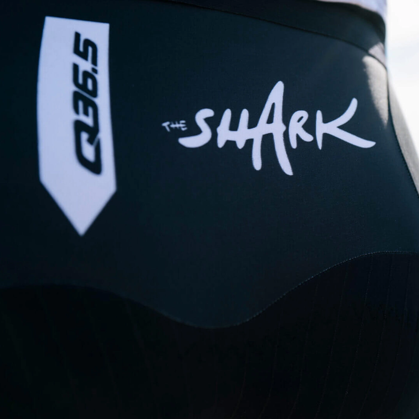 Q36.5 Gregarius bib shorts - Nibali Shark