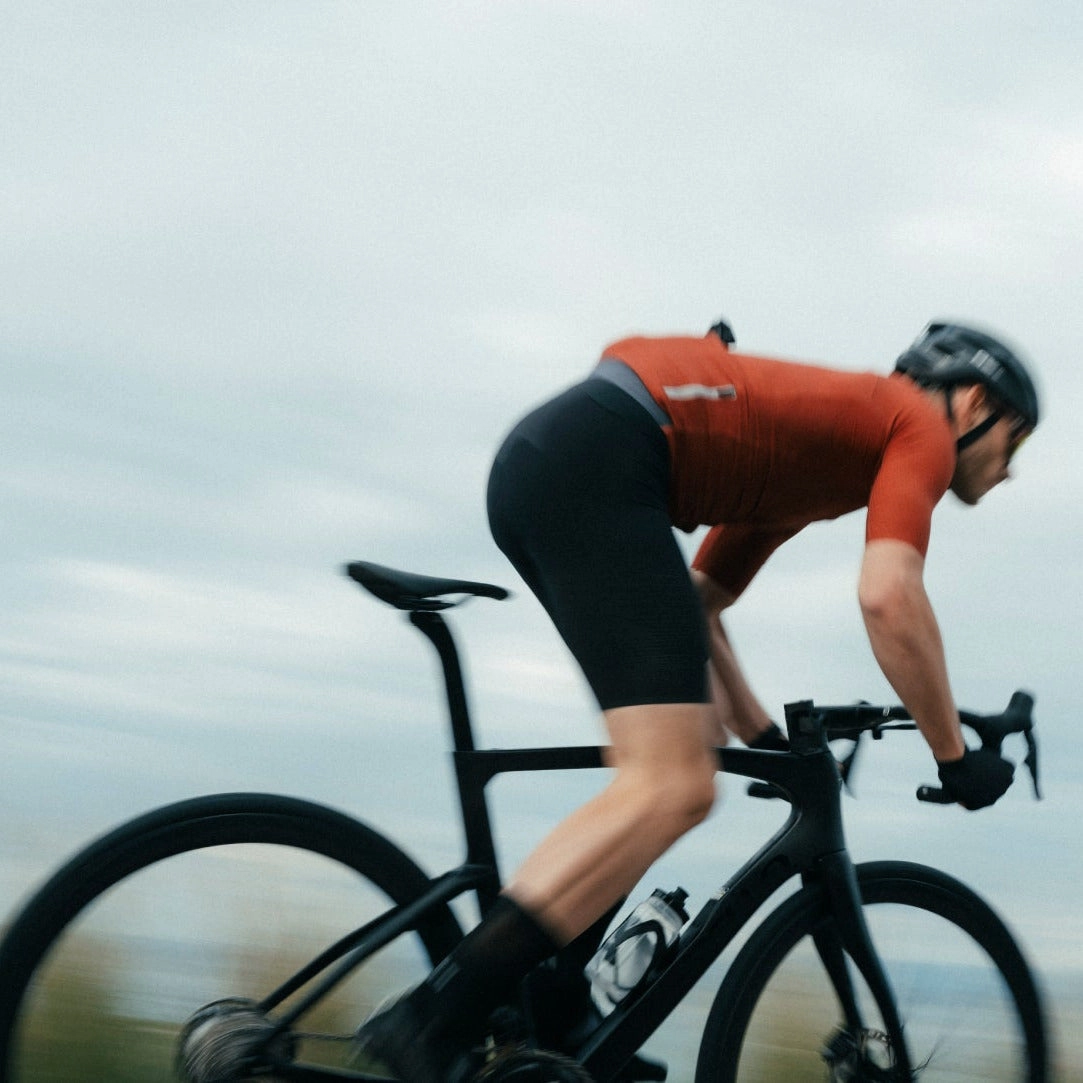 Q36.5 Gregarius Pro bib shorts - Black