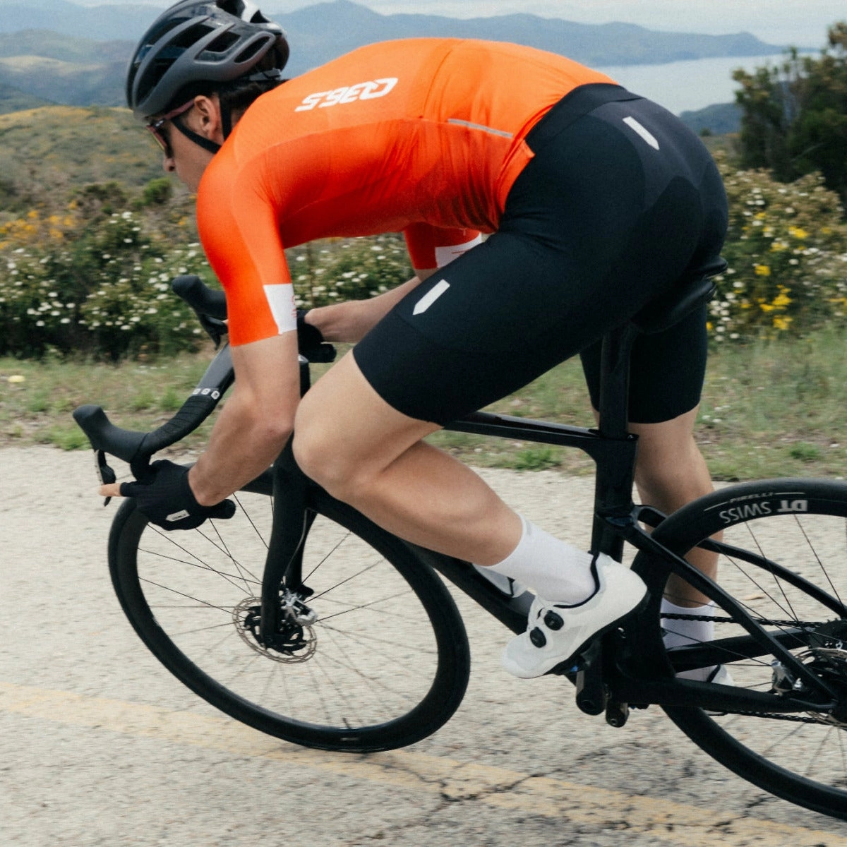 Q36.5 Gregarius Pro bib shorts - Black