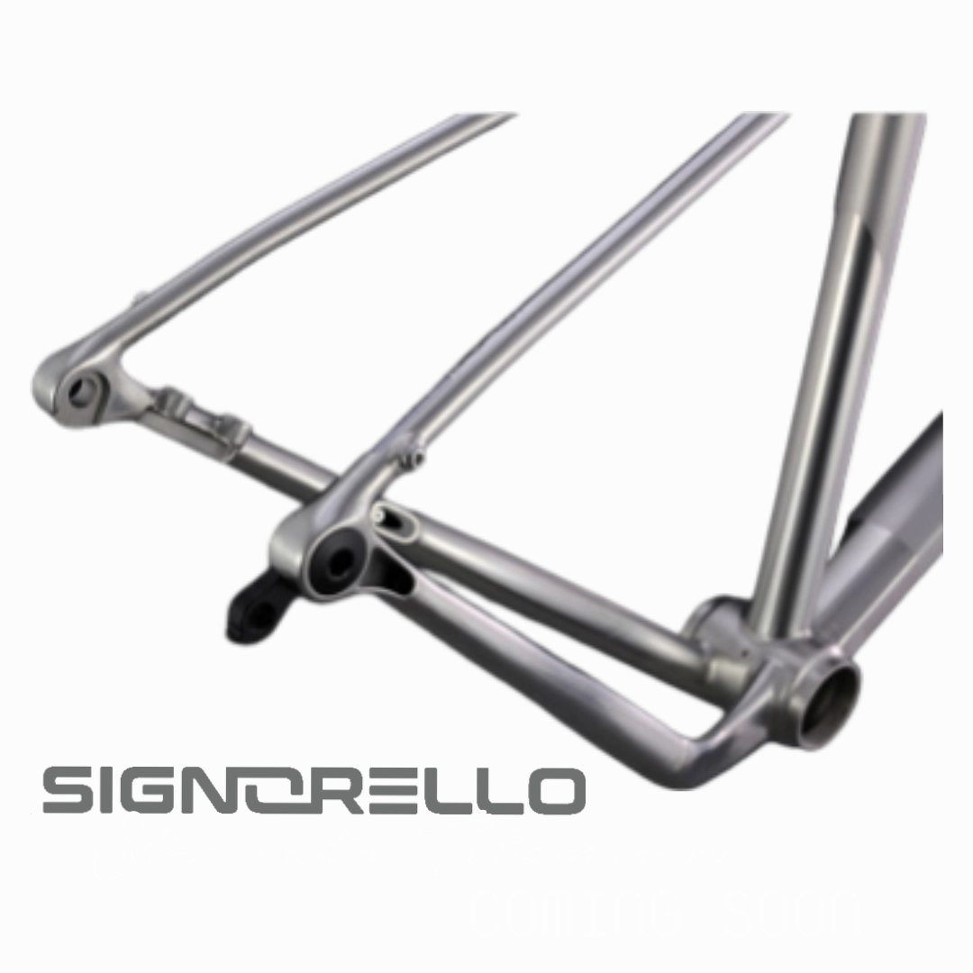 Signorello titanium Italia gravel