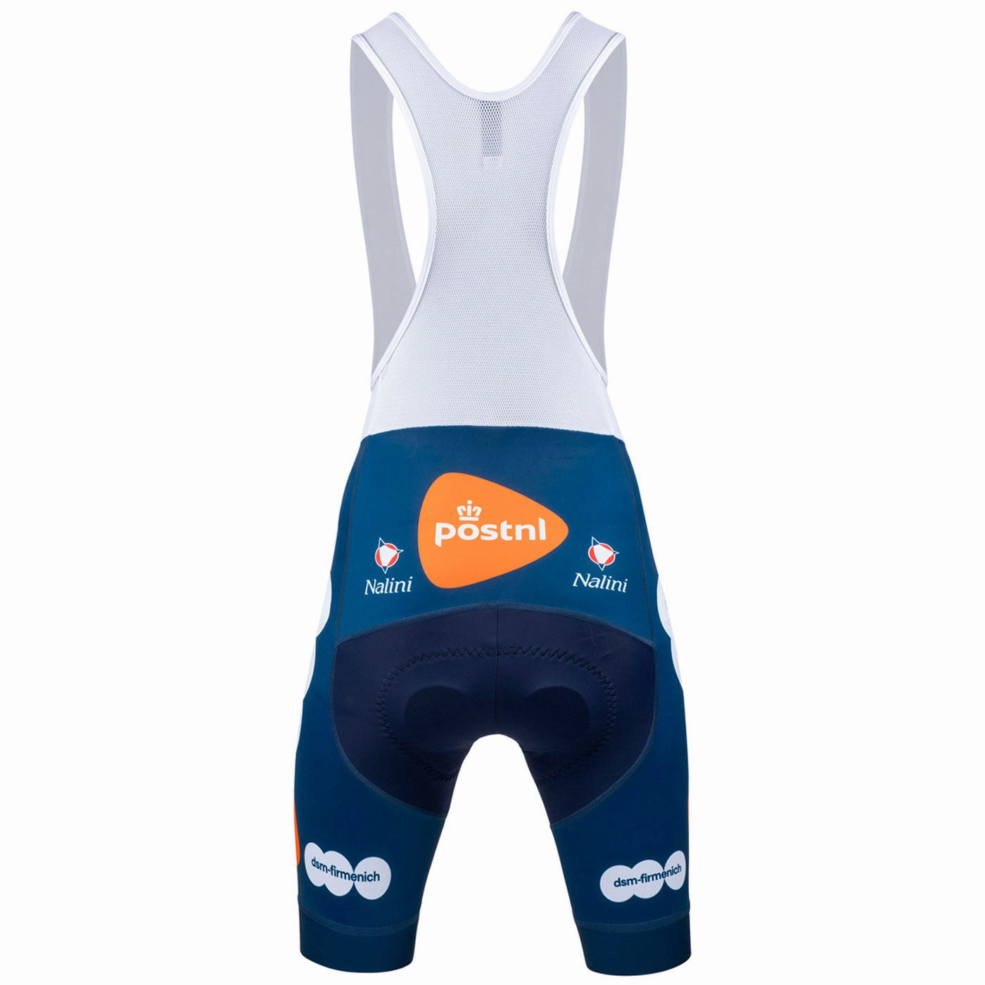 Team DSM Firmenich Postnl 2024 frau bibshort